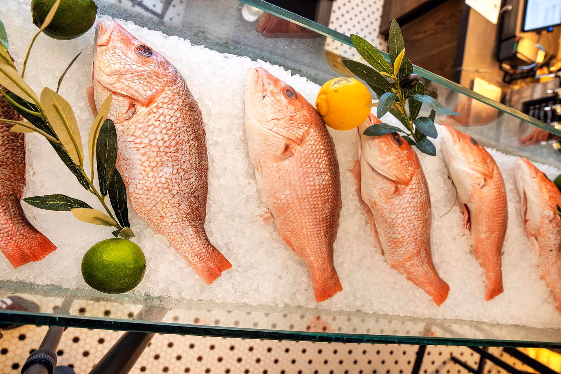 Fresh whole fish on display