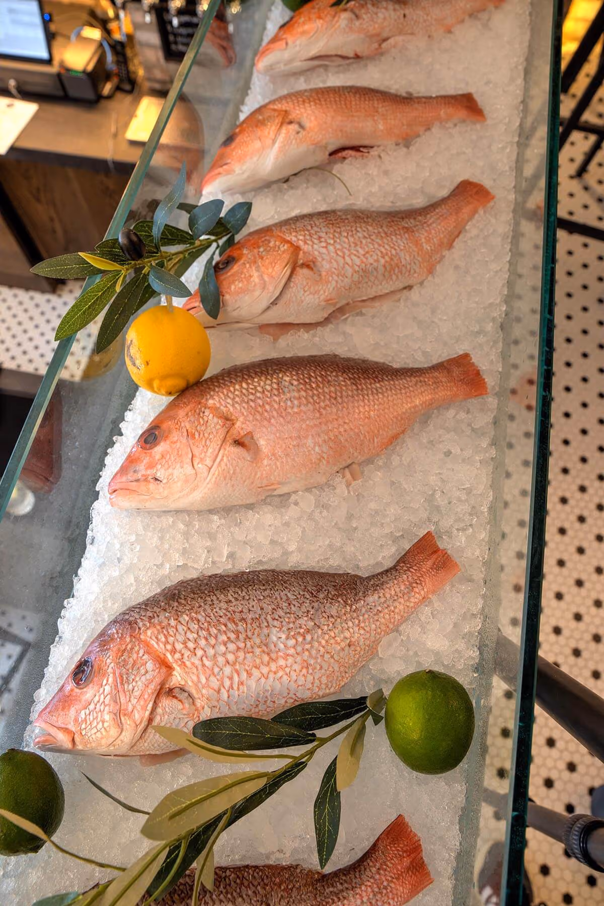 Fresh whole red snapper displayed on ice with citrus and herbs, highlighting the restaurant’s fresh daily seafood selection.
